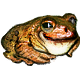 žába